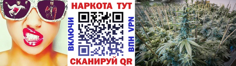 Сколько стоит Россошь Псилоцибиновые грибы  COCAIN  Меф  Бутират  АМФ  ГАШИШ 
