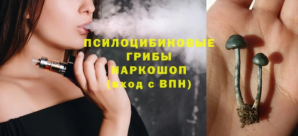 PSILOCYBIN Арсеньев