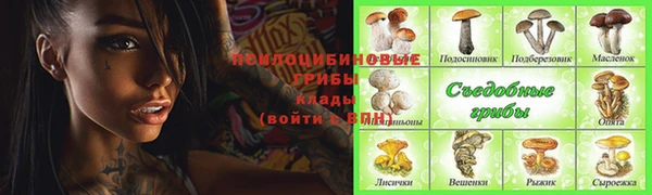 PSILOCYBIN Арсеньев
