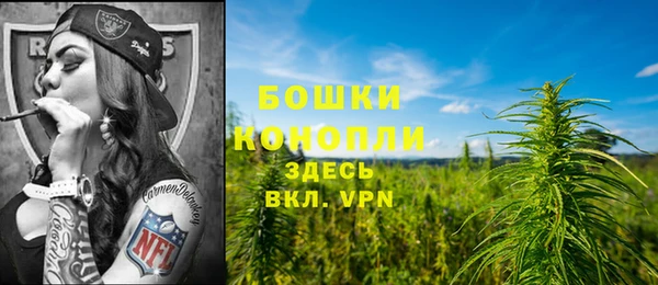 PSILOCYBIN Арсеньев