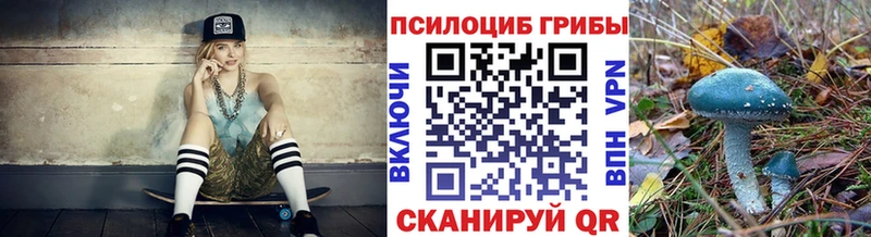 Псилоцибиновые грибы Cubensis ссылка на мегу рабочий сайт Россошь где найти